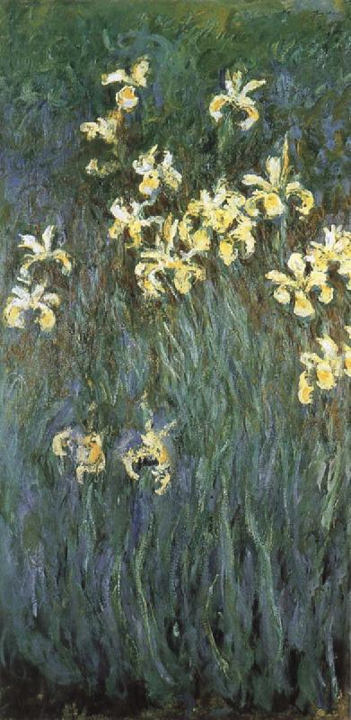Yellow Irises, Claude Monet